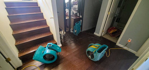 Best Water damage restoration services  in Shenandoah Farms, VA