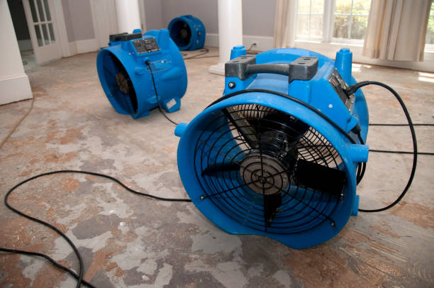 Best Water damage restoration services  in Shenandoah Farms, VA