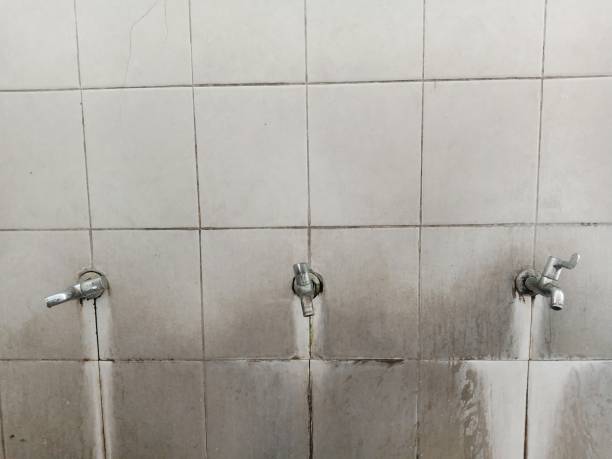 Best Professional water damage repair  in Shenandoah Farms, VA