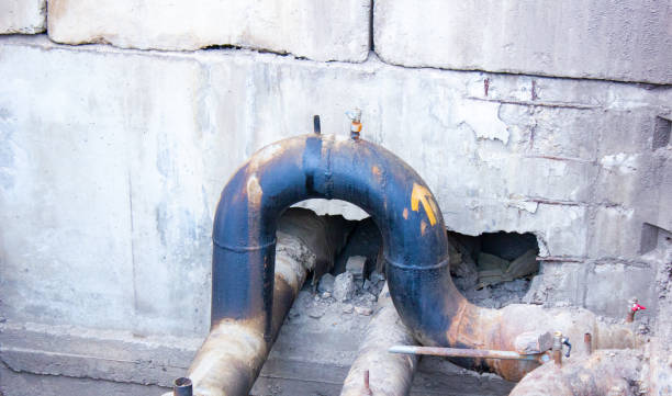 Best Flood restoration services  in Shenandoah Farms, VA