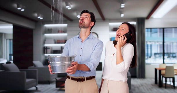 Best Fire Damage Restoration  in Shenandoah Farms, VA